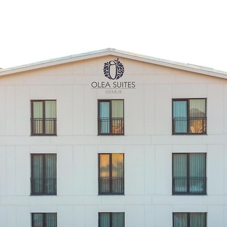 Olea Suites Otel Gemlik Екстер'єр фото